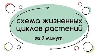 BioFamily: Общая схема жизненных циклов растений за 9 минут