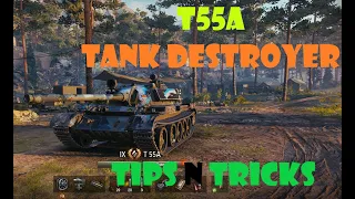 T55A Tank Destroyer Tips N Tricks on completing