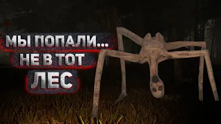 ОБОСРАТУШКИ В ЛЕСУ ➤ Veneficium прохождение