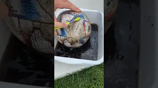 Cleaning my official World Cup ball