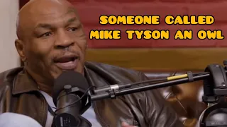 Someone called Mikey Tyson an owl, and he wants to know WHOOO