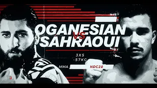 Haik OGANESIAN vs Boualem SAHRAOUI By #VXS #nuit_des_champions  #NdC 28 #mma
