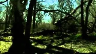 Hombre Y Tierra (The Woodsman) Found Footage Trailer