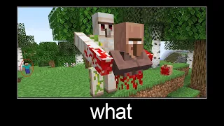 Minecraft wait what meme part 188 (scary Iron Golem)