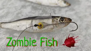 Зомби  приманка -Zombie Fish (100 % Эта снасть выловит ВСЕГО хищника )