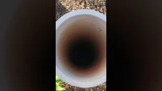 A Deep Hole