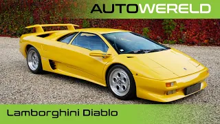 De legendarische Lamborghini Diablo | Nico Aaldering | RTL Autowereld