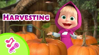 🎤 TaDaBoom English 🎵 🧑‍🌾 Harvesting 🎃 Karaoke collection for kids 🎵Masha and the Bear songs