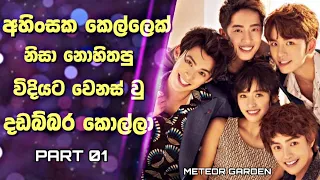 Meteor Garden Drama Sinhala Review | අහිංසක කෙල්ලෙක් නිසා නොහිතපු විදියට වෙනස් වු දඩබ්බර කොල්ලා | 01