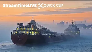 Just a Beautiful Ship in a Foggy Sunrise | STL QUICK CLIP