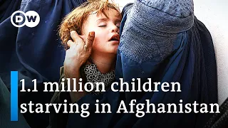 What's Taliban's role in Afghanistan's worsening food crisis? | DW News