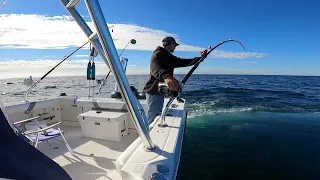 Maine Bluefin Tuna Hook Ups 2022