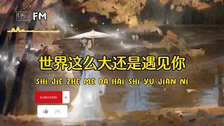 世界这么大还是遇见你 ❴ Shi Jie Zhe Me Da Hai Shi Yu Jian Ni ❵ Lyric dan terjemahan #fe music#youtube#youtuber