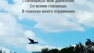 Текст песни Чёрный список (Милена Чижова)