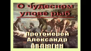 О чудесном улове рыб. Протоиерей Александр Авдюгин