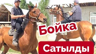 Бойка Шарт Сатылды 💥