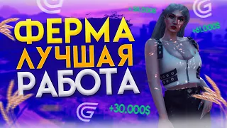 КАК БЫСТРО ЗАРАБОТАТЬ на ГРАНД РП | ПРИБЫЛЬНАЯ ФЕРМА Grand RP GTA 5