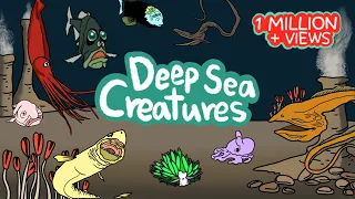 Deep sea animals | What kind of fish lives under the deep sea? | Kids Draw
