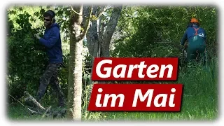 Gartenarbeit Mai | Kettensäge, Bohnen legen mit Opa, Beet vorbereiten