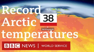 Why are we seeing record temperatures in the Arctic? - BBC World Service