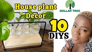 Dollar Tree DIYS to style house plants.