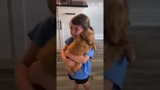 Little girl sobs as she holds her new poppy Humankind #shorts#love❤️❤️