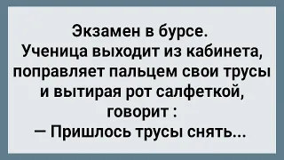 Сняла Трусы и Сдала Экзамен! Сборник Свежих Анекдотов! Юмор!