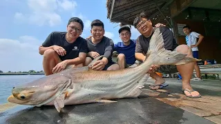 Giant Mekong Catfish and Siamese Carp Fishing Thailand 2024- BKKGUY