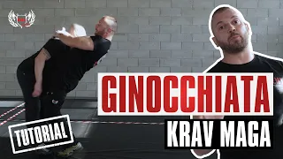 KRAV MAGA KNEE full tutorial - Manuel Spadaccini