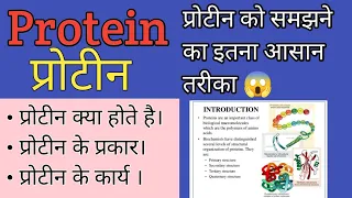 Protein ( प्रोटीन ) | Structure | Classification | Function | What food is high in protein?