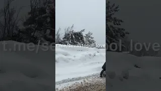 НА МОПЕДЕ НА АЙ-ПЕТРИ!😅😅😅#крым