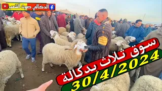 اثمنة كبيرة بسوق ثلاث سيدي بنور إقليم دكالة مع ثمن حولي صرد العيد الاضحى  🇲🇦2024/4/30 جزء 1