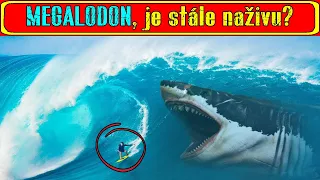 MEGALODON, je stále naživu?