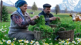 Wild Edible Herb Harvest & Cooking Flatbread: 🌿 Foraging & Cooking in Nature!