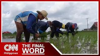 Farmers oppose possible rice importation deal with Vietnam | The Final Word