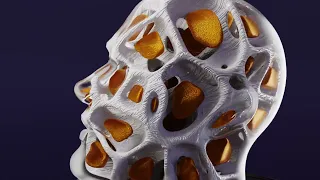 Houdini - Head Voronoi