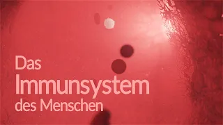 Immunsystem des Menschen - Aufbau und Funktion (Animation)