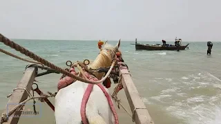 Pakistan Beautiful Beach | Riding Sea Horse Cart | Damb to Bahraa | Lasbela Balochistan |