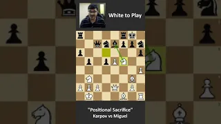 This positional sacrifice from Karpov is one to remember #Shorts