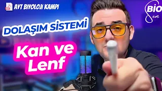 Dolaşım Sistemi-3 Kan ve Lenf | Ayt Biyoloji Konu Anlatımı 11. Sınıf | 2024