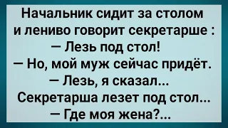 Как Секретарша Под Столом у Начальника Мужа Встречала! Сборник Свежих Анекдотов! Юмор!