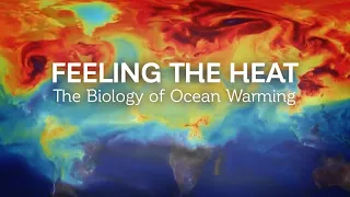 Feeling the Heat: The Biology of Ocean Warming