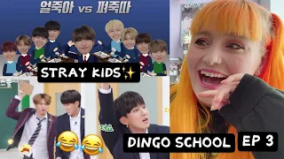 debate time! STRAY KIDS 'DINGO SCHOOL' EP 3 REACTION