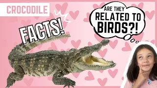 CROCODILE | Educational Animal FUN FACTS (For Kids!)