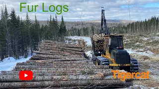 Unloading Fur Logs-Tigercat 1075B-New Brunswick