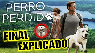 ¡FINAL EXPLICADO! PERRO PERDIDO (PELICULA) - FINAL EXPLICADO - PERRO PERDIDO NETFLIX