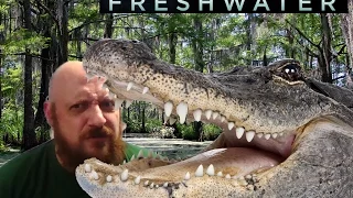 Freshwater - Movie Review