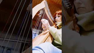 ⏳ È PASSATO PIÙ DI UN ANNO⌛ #arpaceltica #celticharp #enricamerlocelticlyre #mycomposition