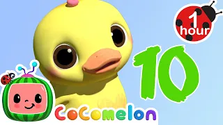 Ten Little Duckies + More Nursery Rhymes & Kids Songs - Learn ABCs and 123s | CoComelon