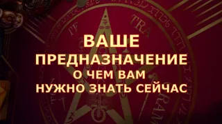 🏆 ВАШЕ ПРЕДНАЗНАЧЕНИЕ на КАКОМ ПУТИ ВЫ СТОИТЕ 💐 Таро знаки судьбы прогноз  на будущее #tarot#gadanie